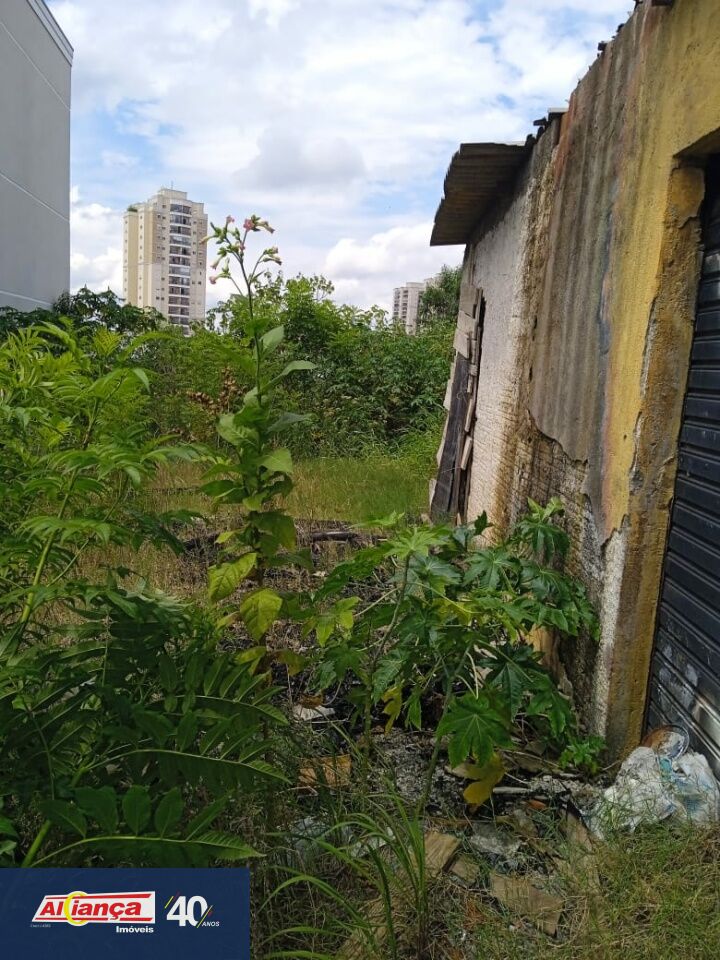 Foto 1 de Terreno, para Locação, em Jardim Rosa de Franca, Guarulhos - Ref AI34400