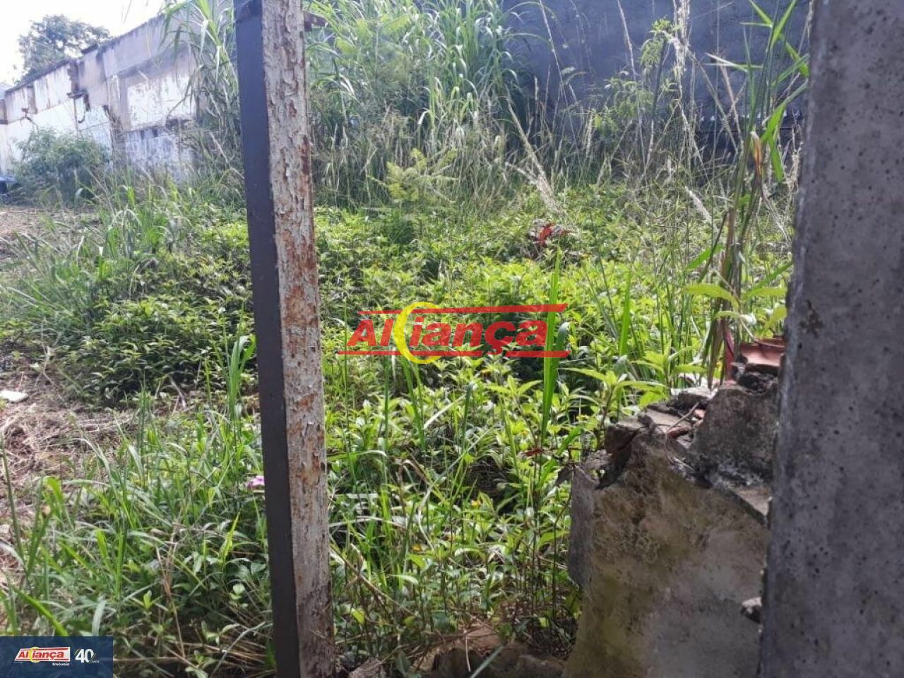 Foto 1 de Terreno, para Venda, em Vila Nova Bonsucesso, Guarulhos - Ref AI46675