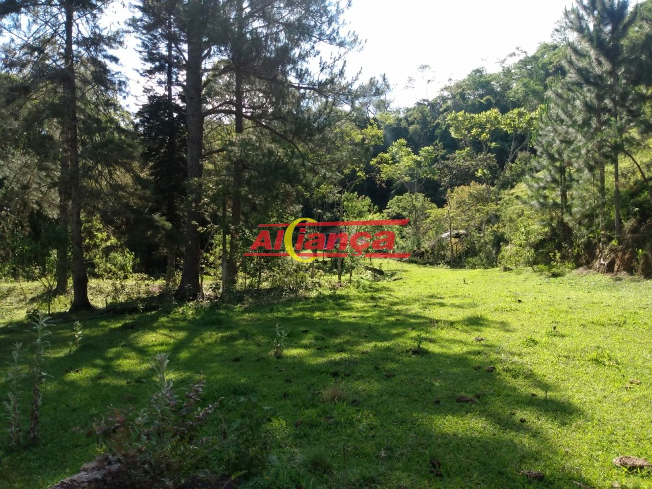 Foto 1 de Rural, para Venda, em Campininha, Atibaia - Ref AI49522