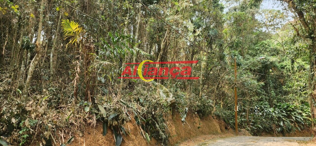 Foto 1 de Terreno, para Venda, em Corumbá (Terra Preta), Mairiporã - Ref AI52113