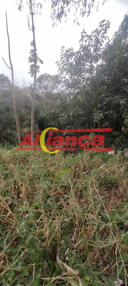 Foto 1 de Terreno, para Venda, em Rancho Grande, Mairiporã - Ref AI55482