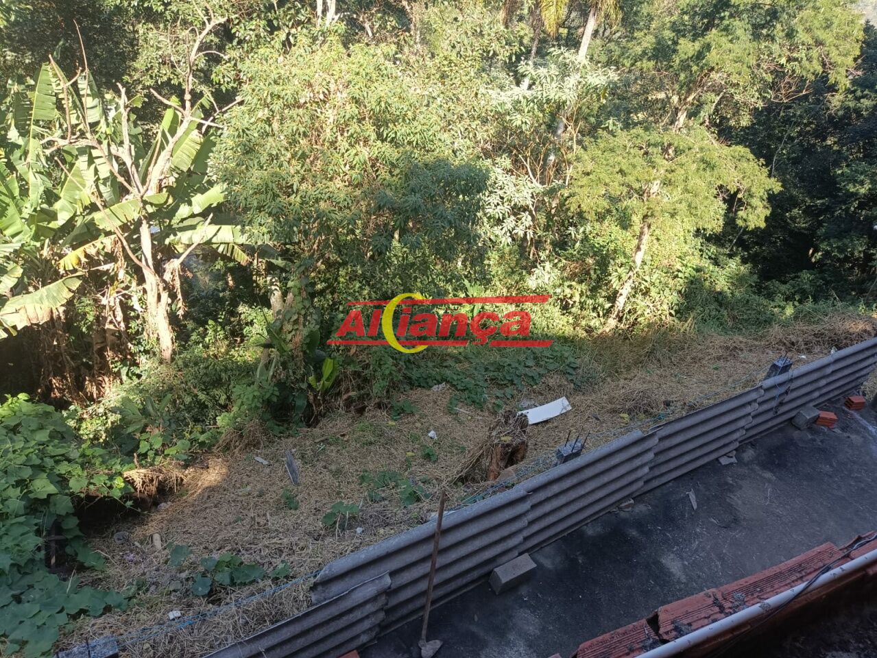 Foto 1 de Rural, para Venda, em Boa Vista, Mairiporã - Ref AI56397