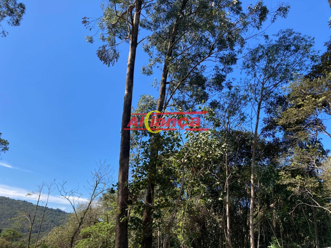 Foto 1 de Terreno, para Venda, em Roseira, Mairiporã - Ref AI58649