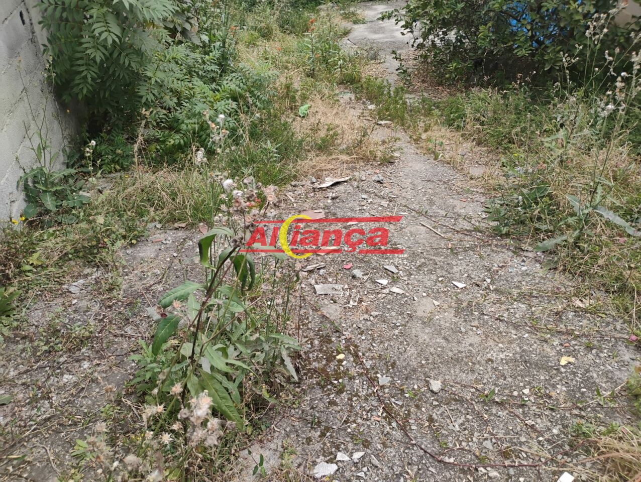 Foto 1 de Terreno, para Venda, em Vila São João Batista, Guarulhos - Ref AI61605