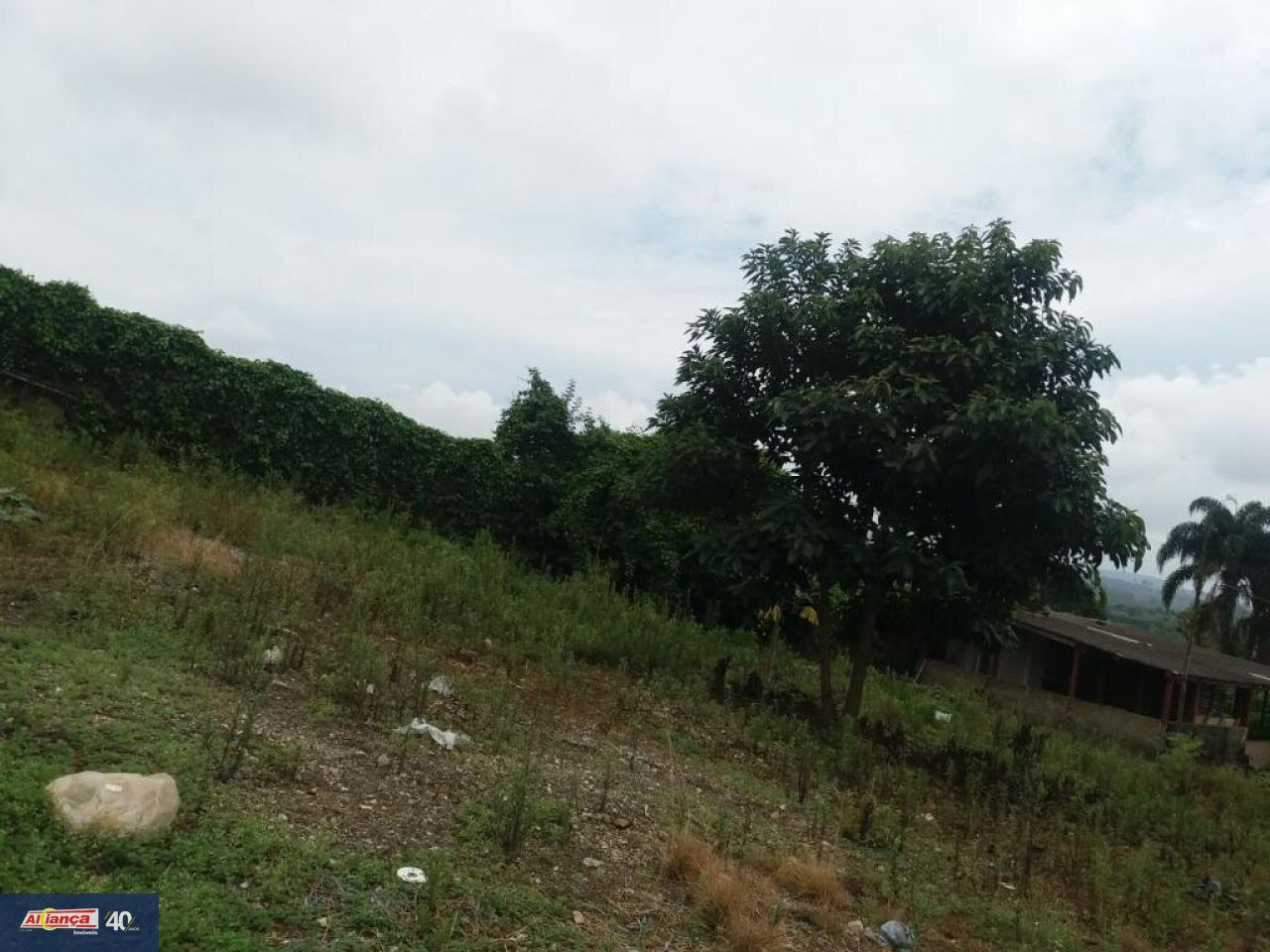 Foto 1 de Terreno, para Venda, em Vila Nova Bonsucesso, Guarulhos - Ref AI6591