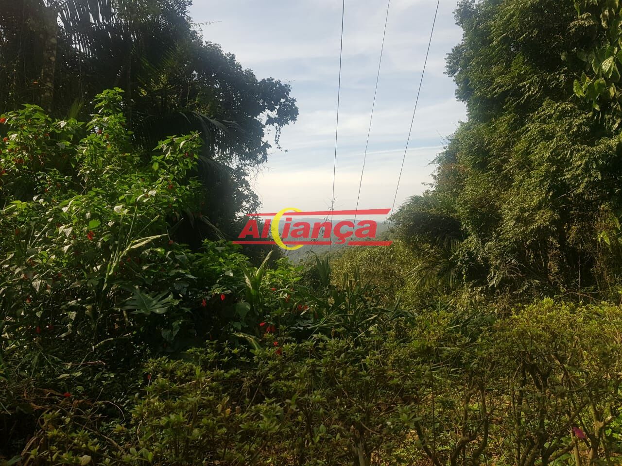 Foto 1 de Comercial, para Venda, em Jardim da Montanha, Mairiporã - Ref AI66469