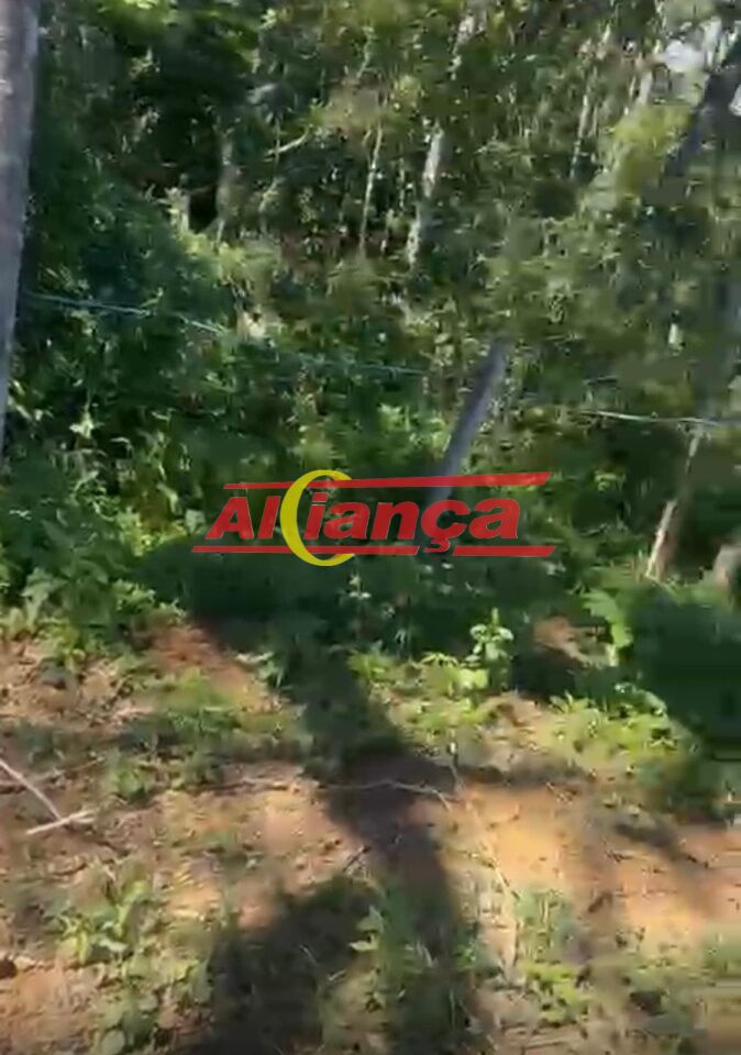 Foto 1 de Comercial, para Venda, em Vila Nova Bonsucesso, Guarulhos - Ref AI69509