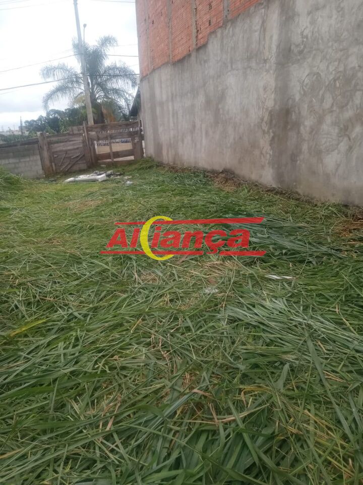 Foto 1 de Terreno, para Locação, em Cidade Parque Alvorada, Guarulhos - Ref AI71832