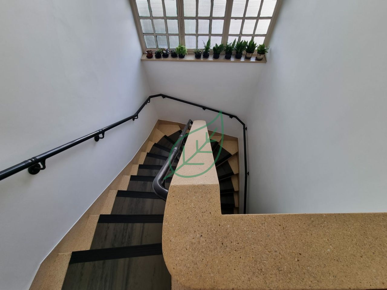 Foto 31