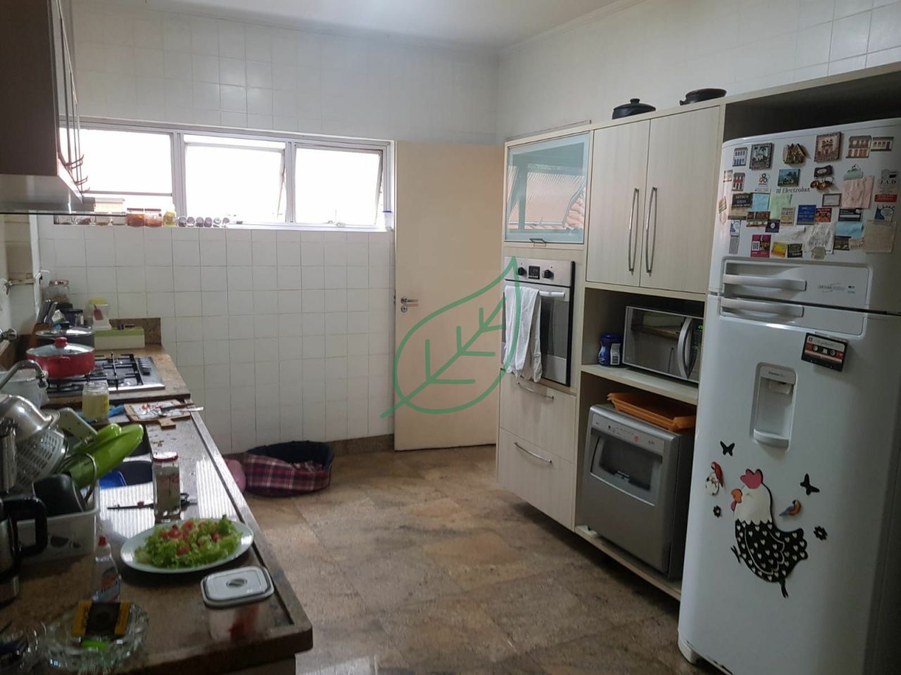 Foto 6