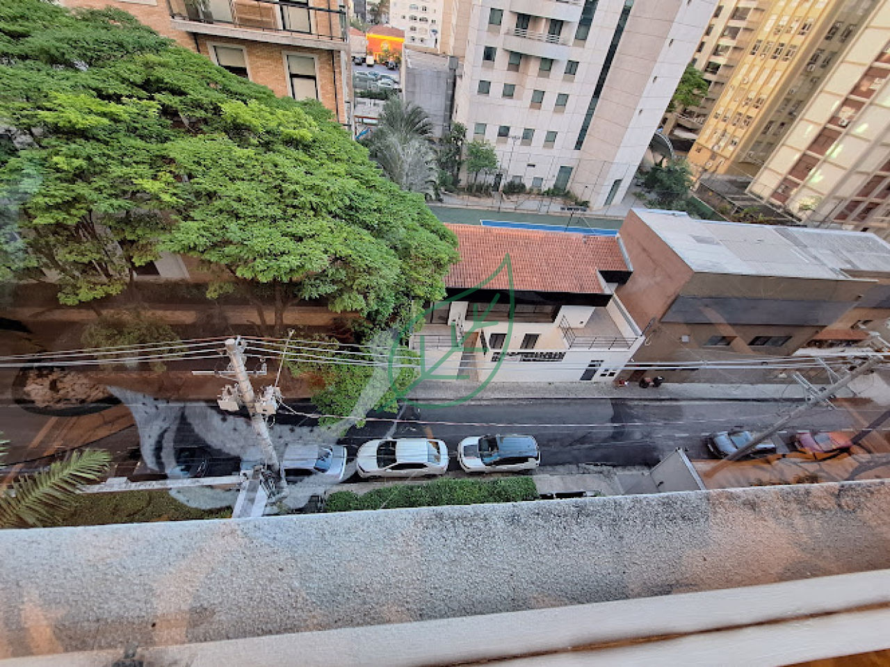 Foto 14