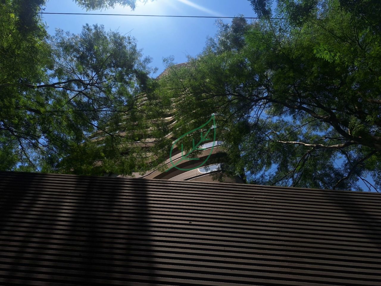 Foto 16