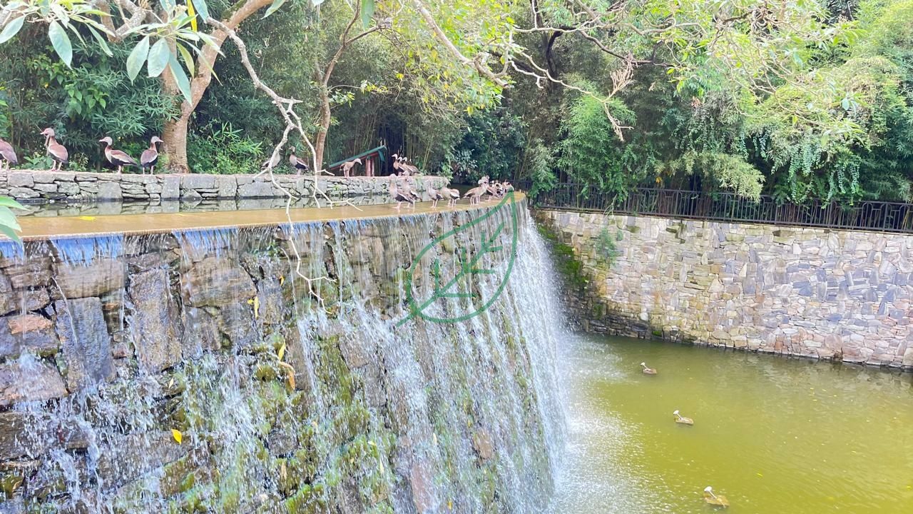 Foto 41