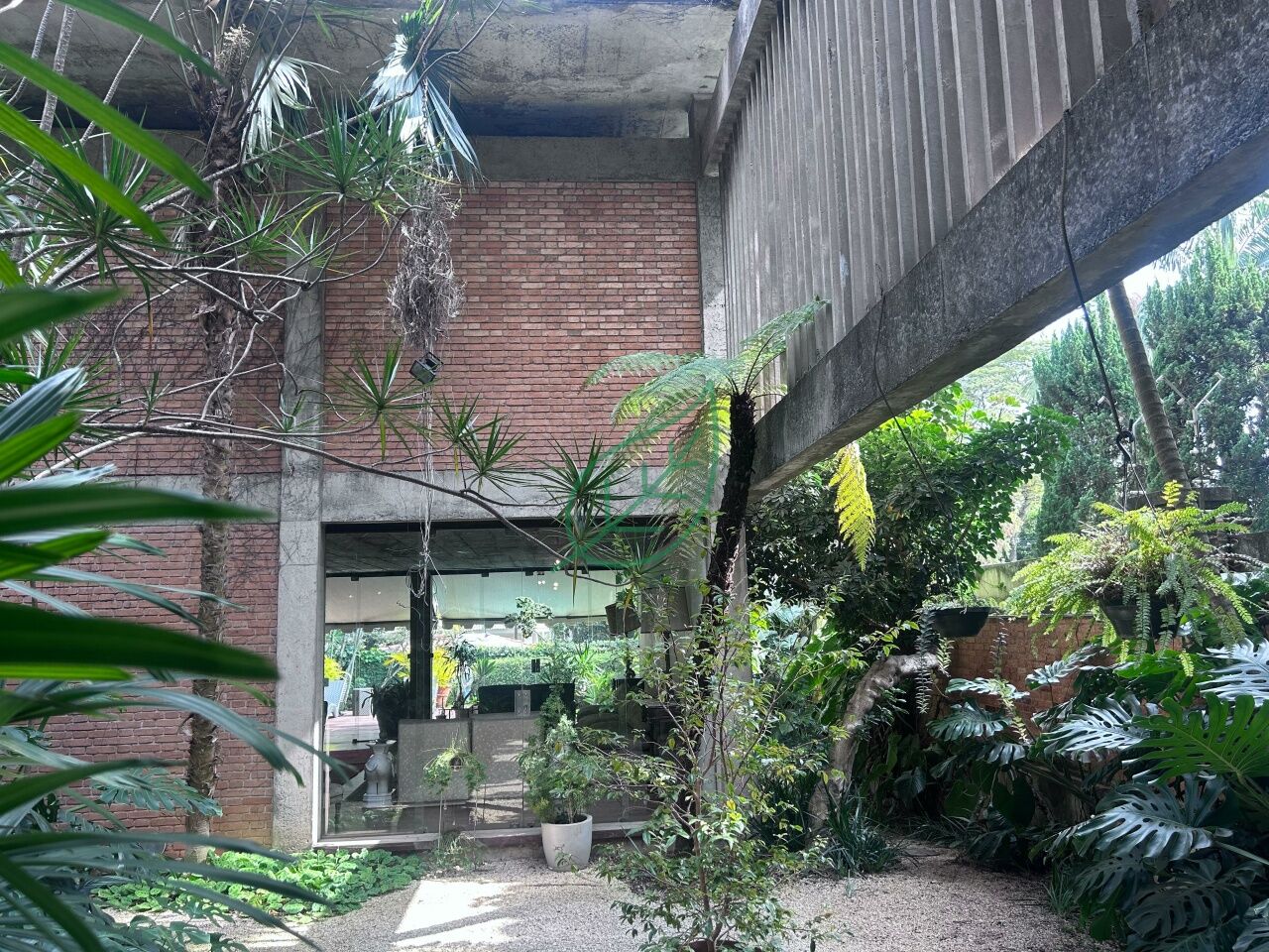 Foto 6