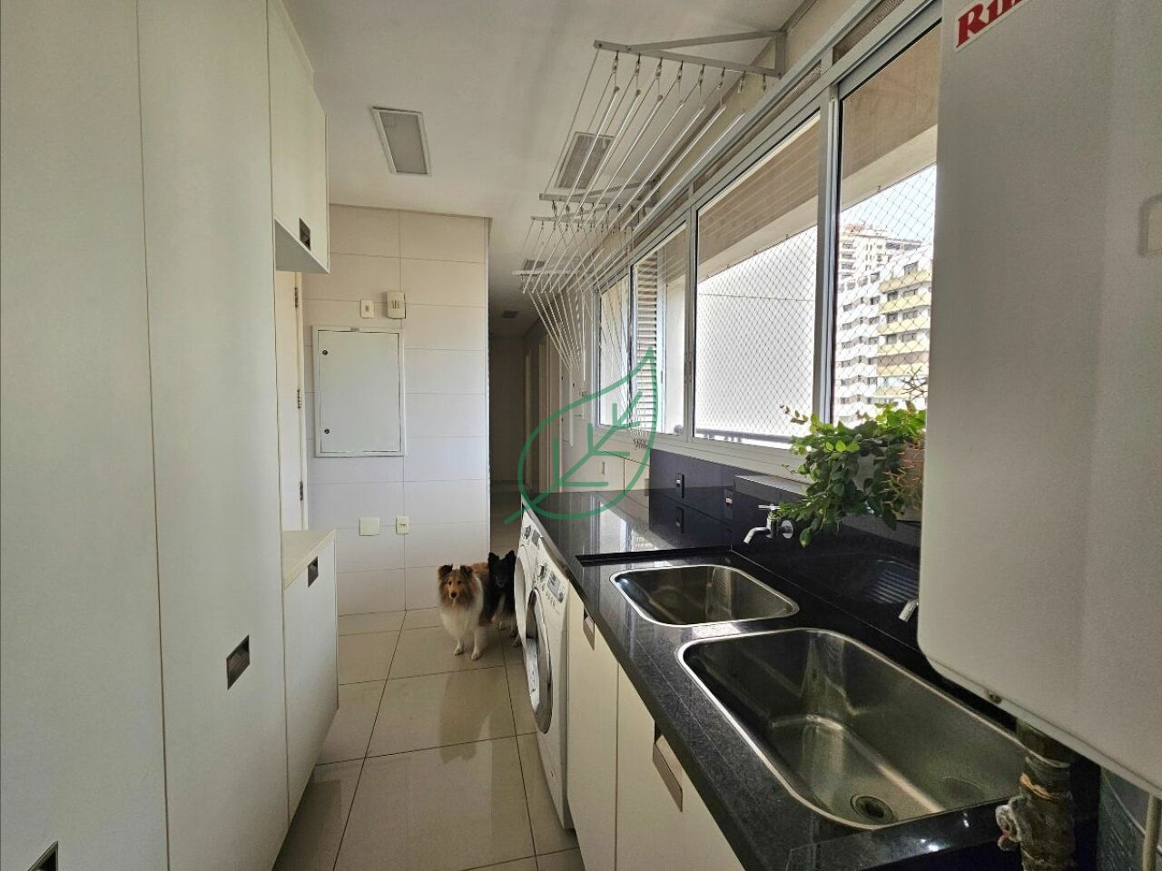 Foto 19