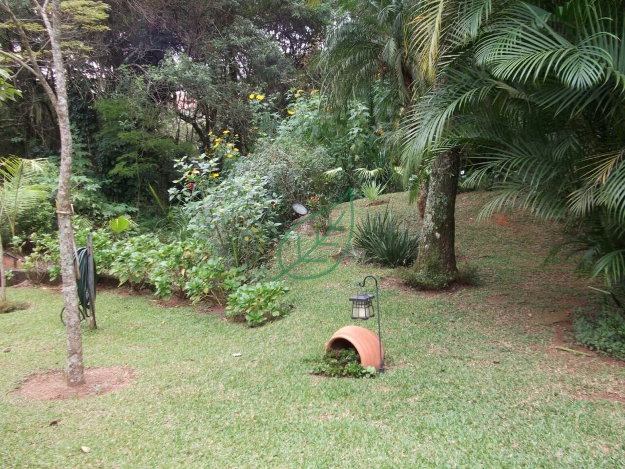 Foto 8