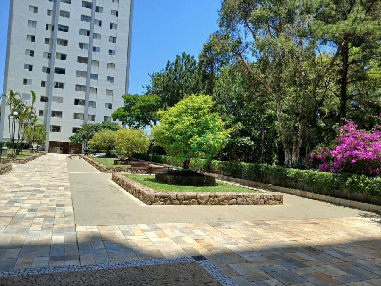 Foto 21