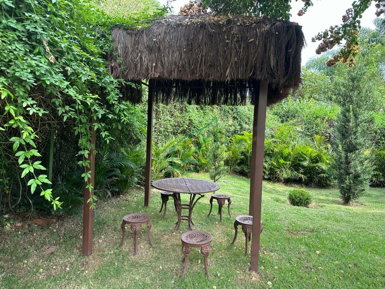 Foto 41