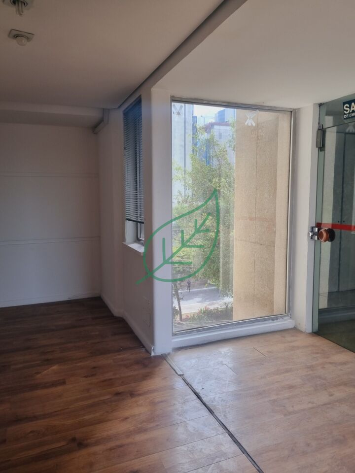 Foto 19