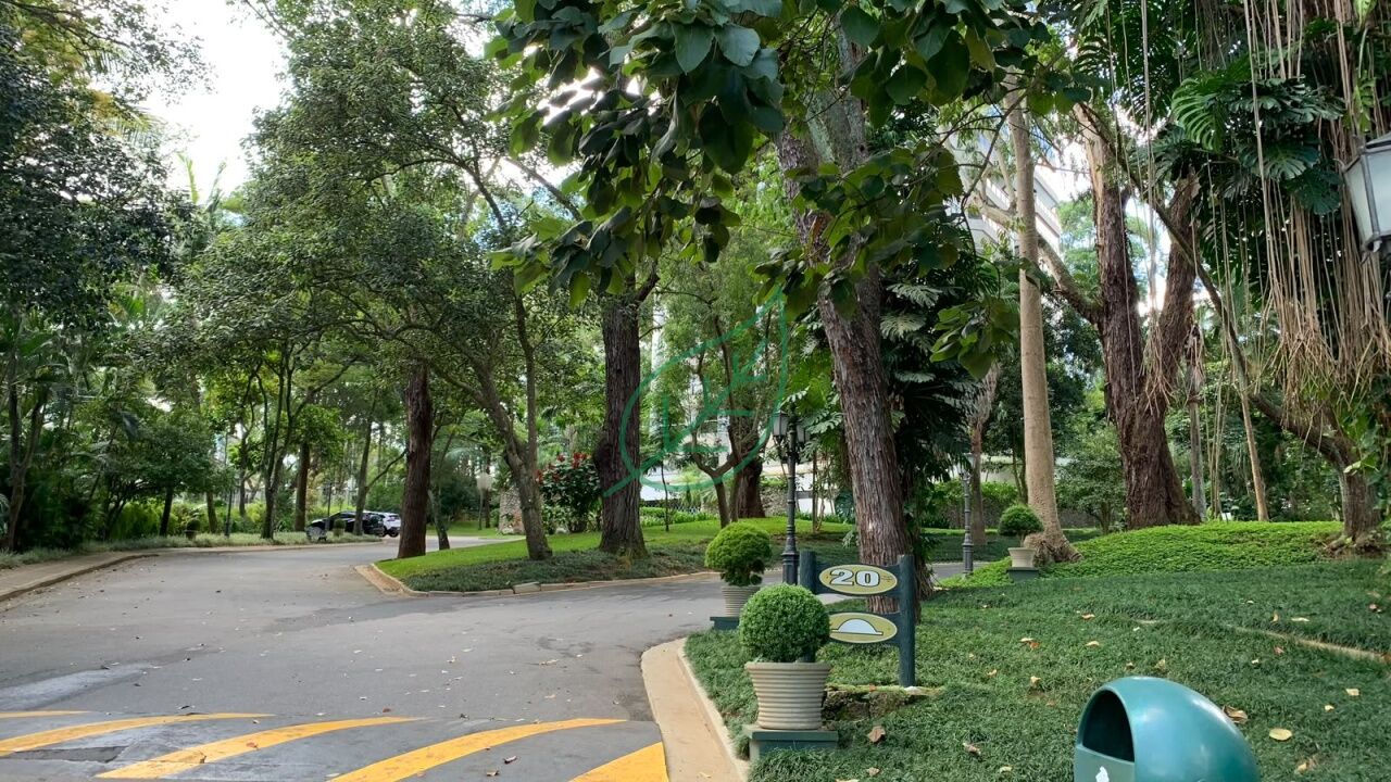 Foto 18
