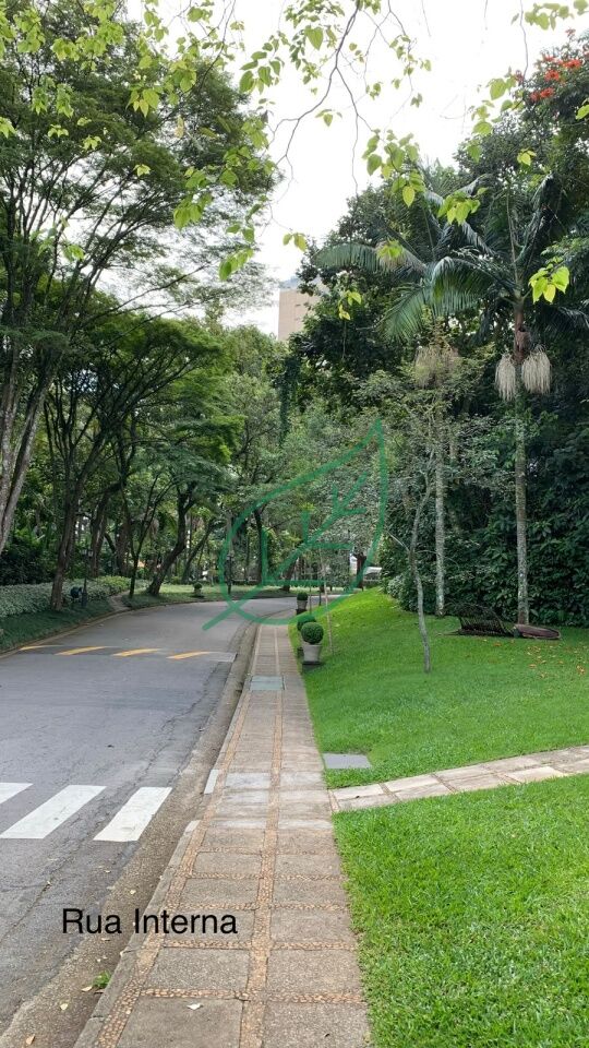 Foto 31