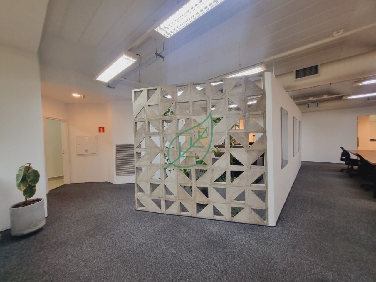 Foto 10