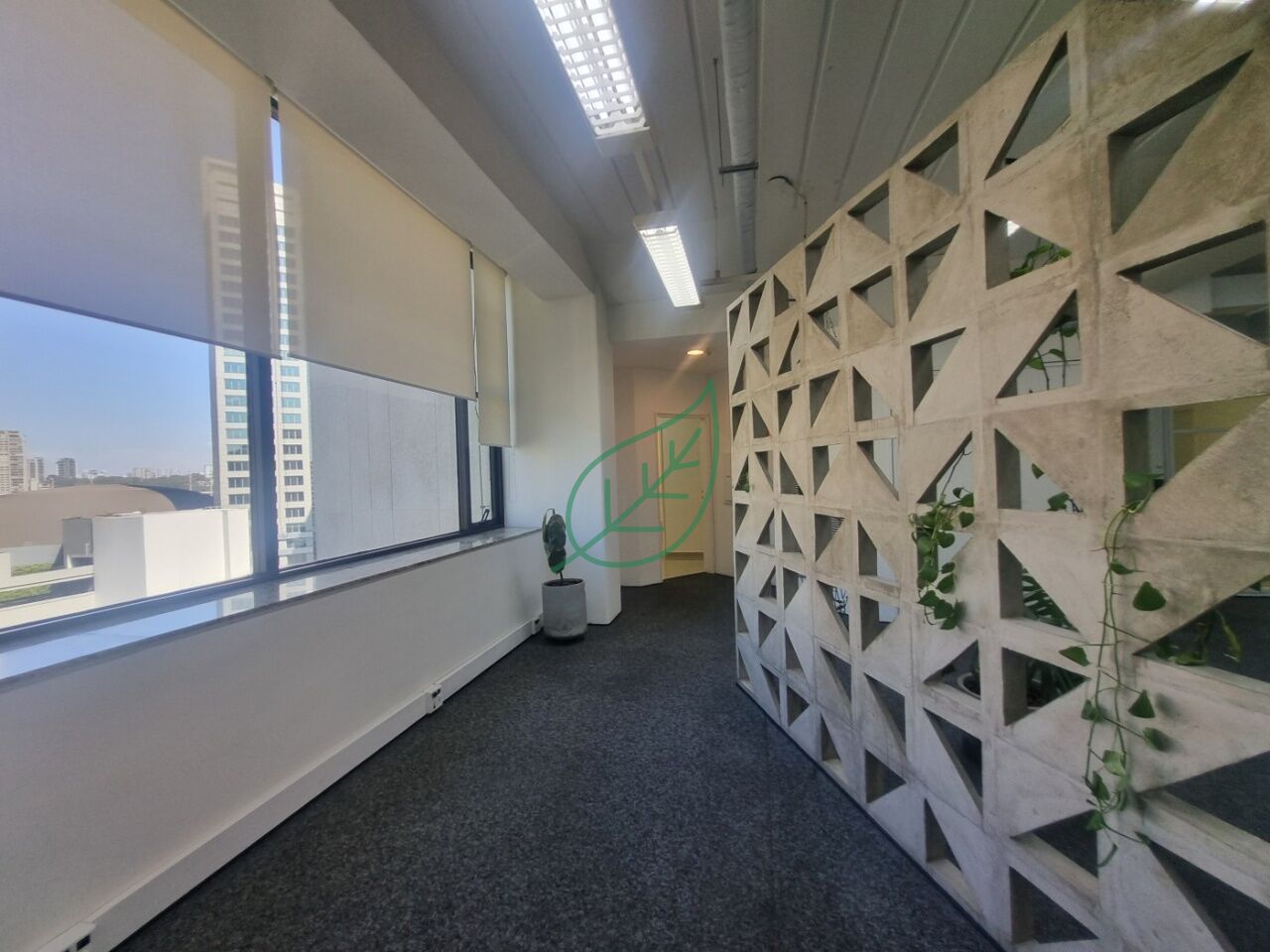 Foto 11