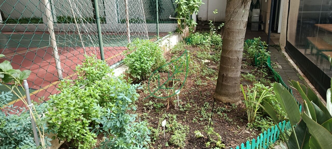 Foto 30