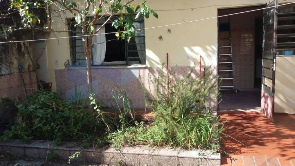 Casa Térrea para Venda - Quinta da Paineira