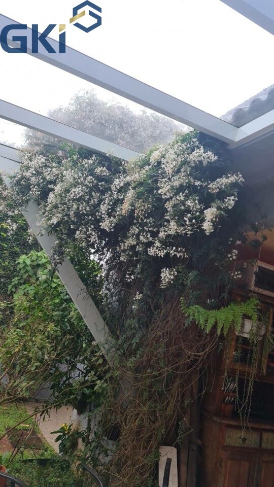 Foto 24