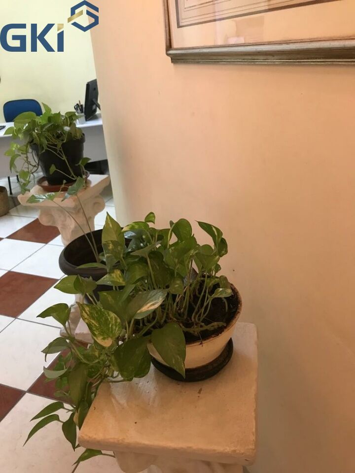Foto 23