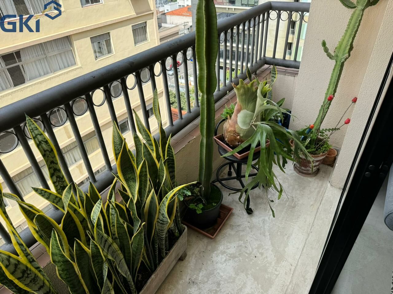 Foto 6