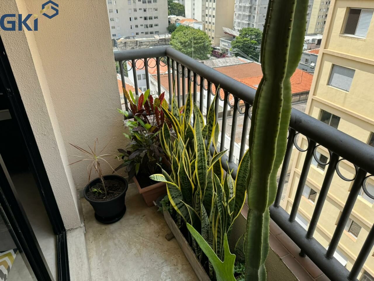Foto 7