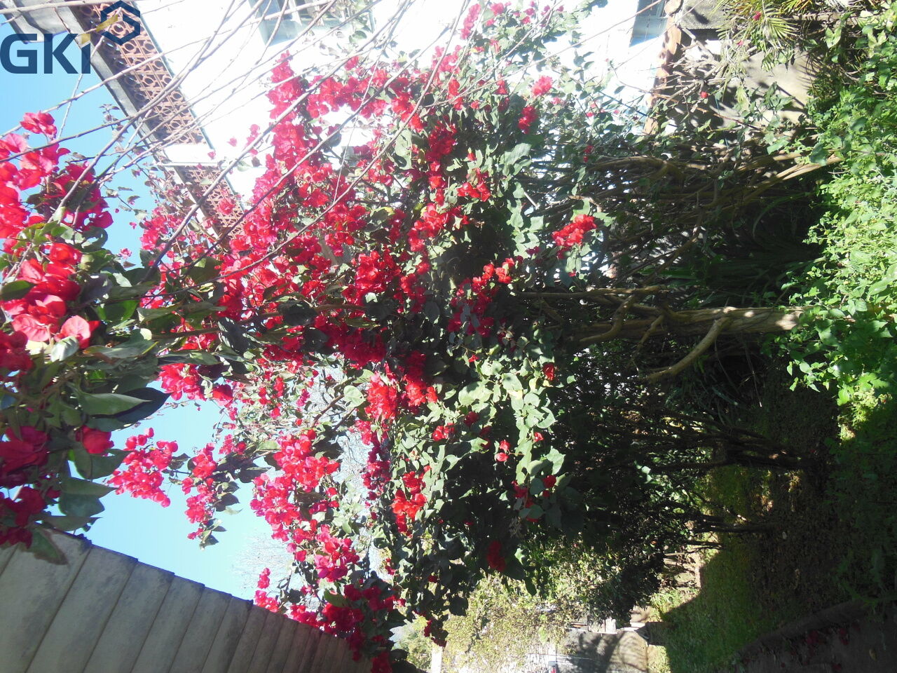 Foto 16
