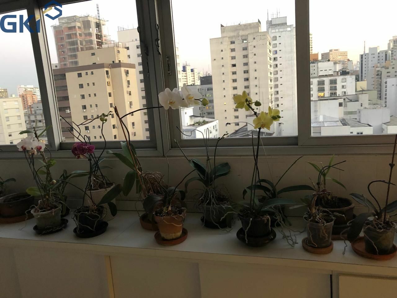 Foto 23