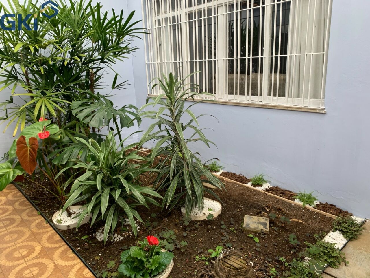 Foto 1