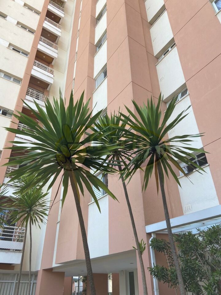 Apartamento para Venda - Casa Branca