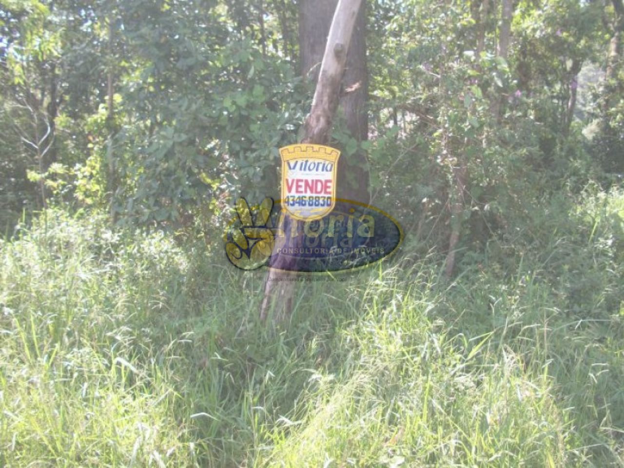 Terreno para Venda - FINCO