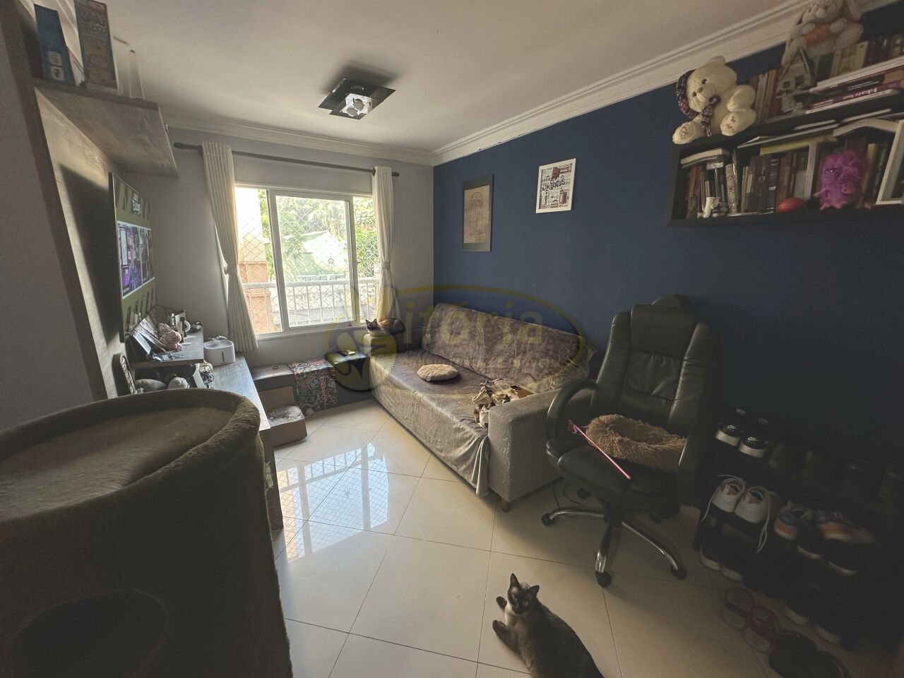 Apartamento para Venda - Parque Erasmo Assunção