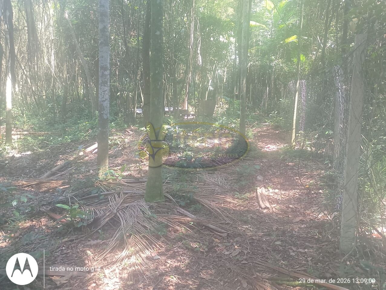 Terreno para Venda - Dos Finco