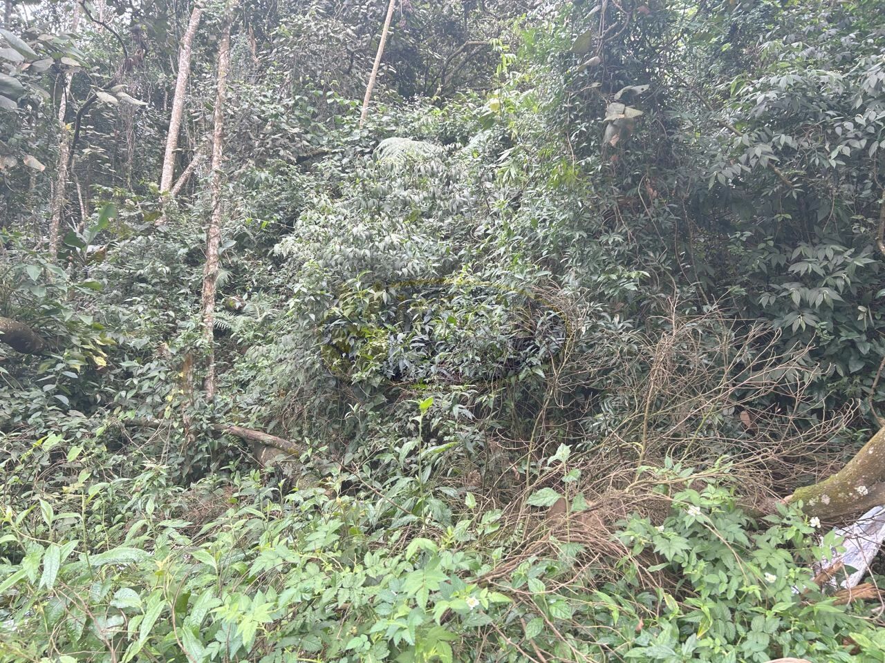 Terreno para Venda - Demarchi