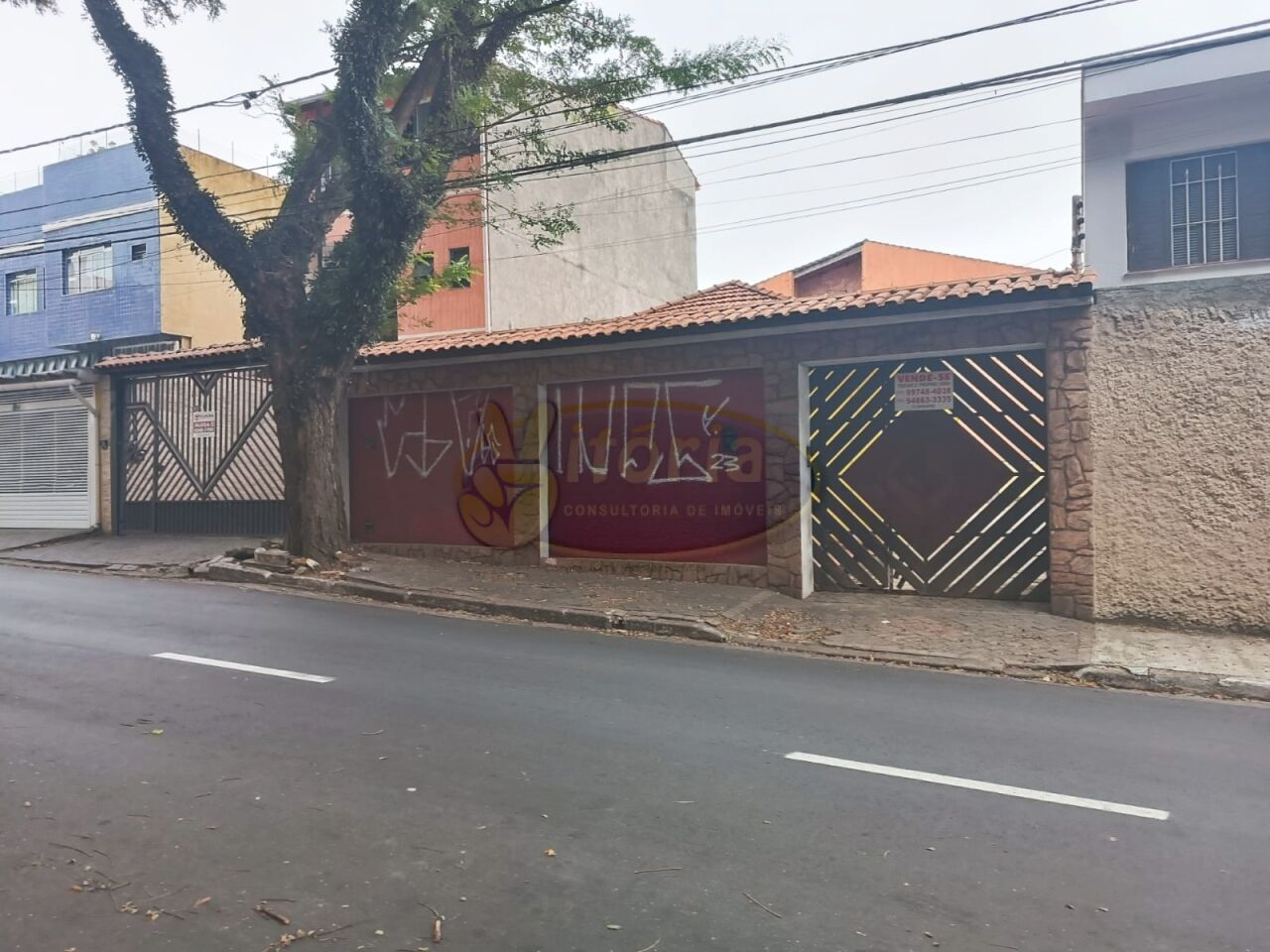 Terreno para Venda - Paulicéia