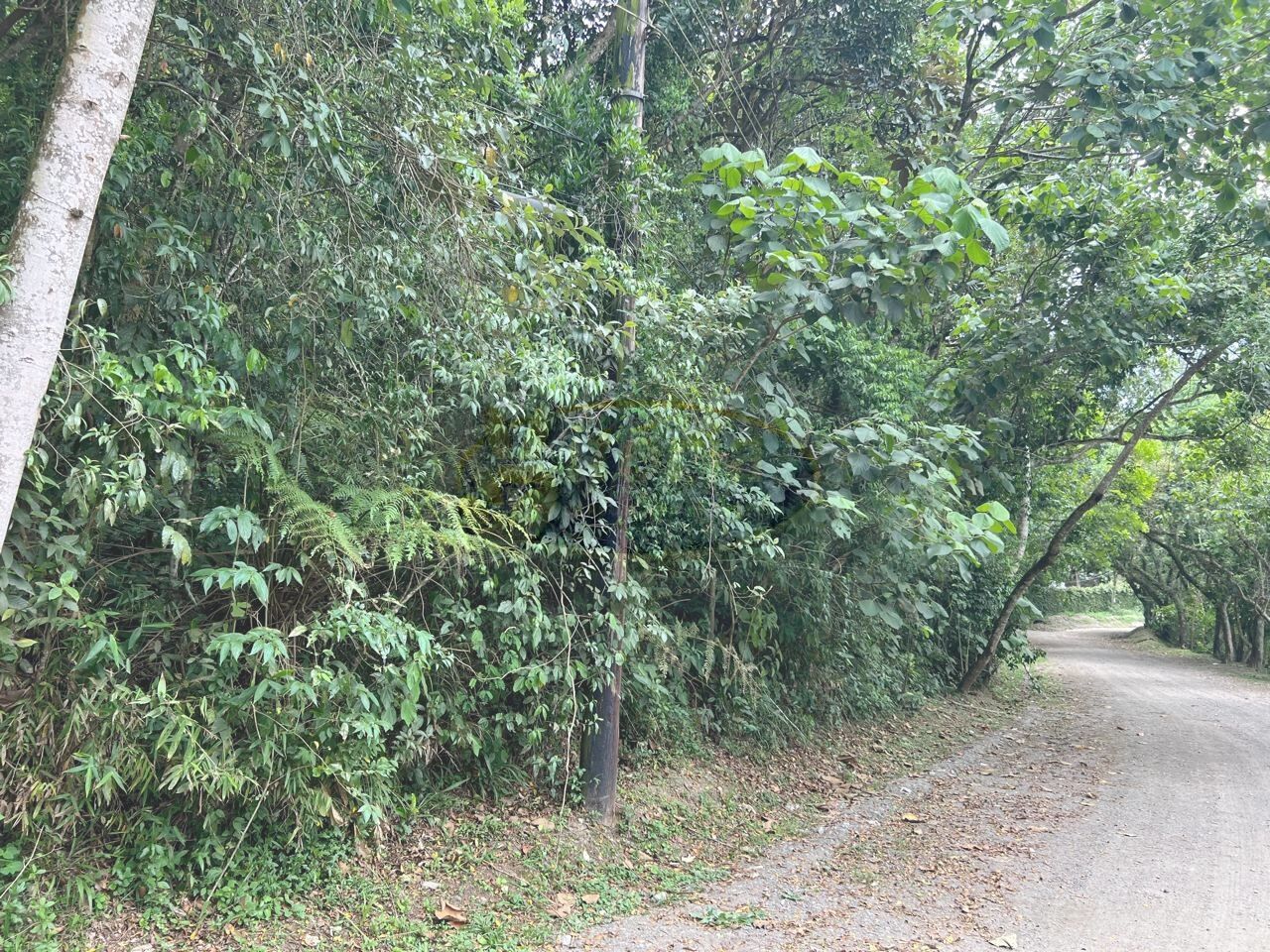 Terreno para Venda - Batistini