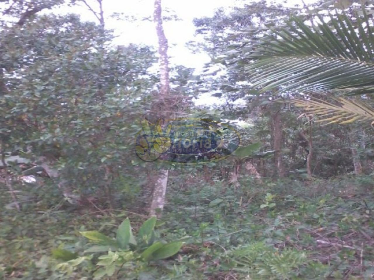 Terreno para Venda - Royal Park