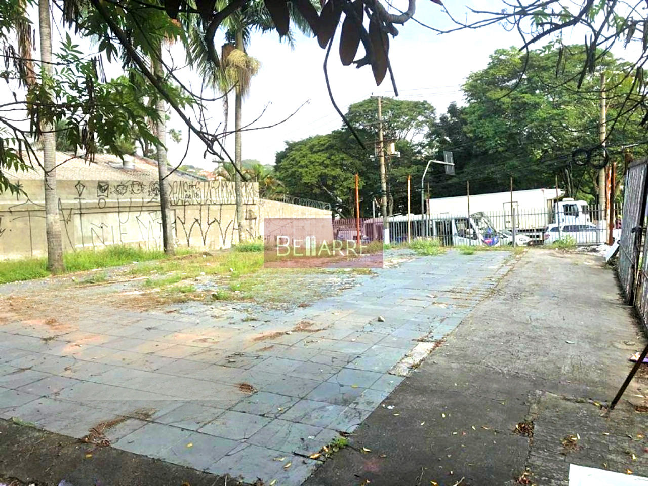 Terreno para Locação - Butantã