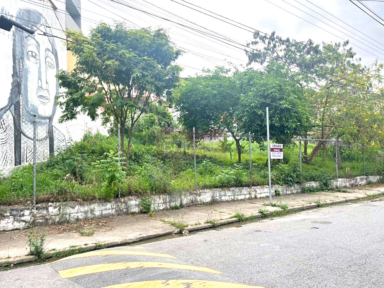 Terreno para Venda - Vila Morse