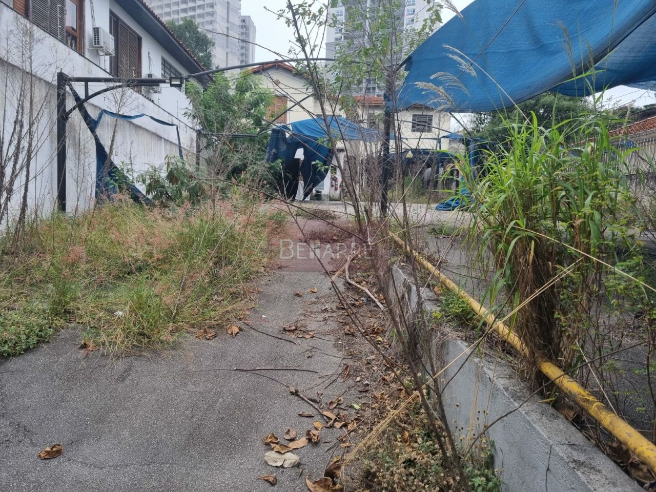 Terreno para Venda - Butantã
