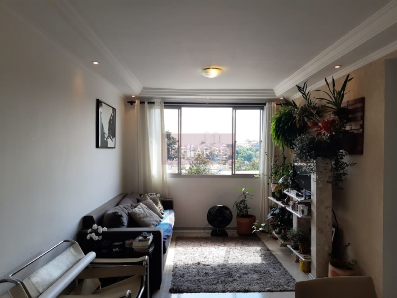 Apartamento para Venda - Jardim Ivana