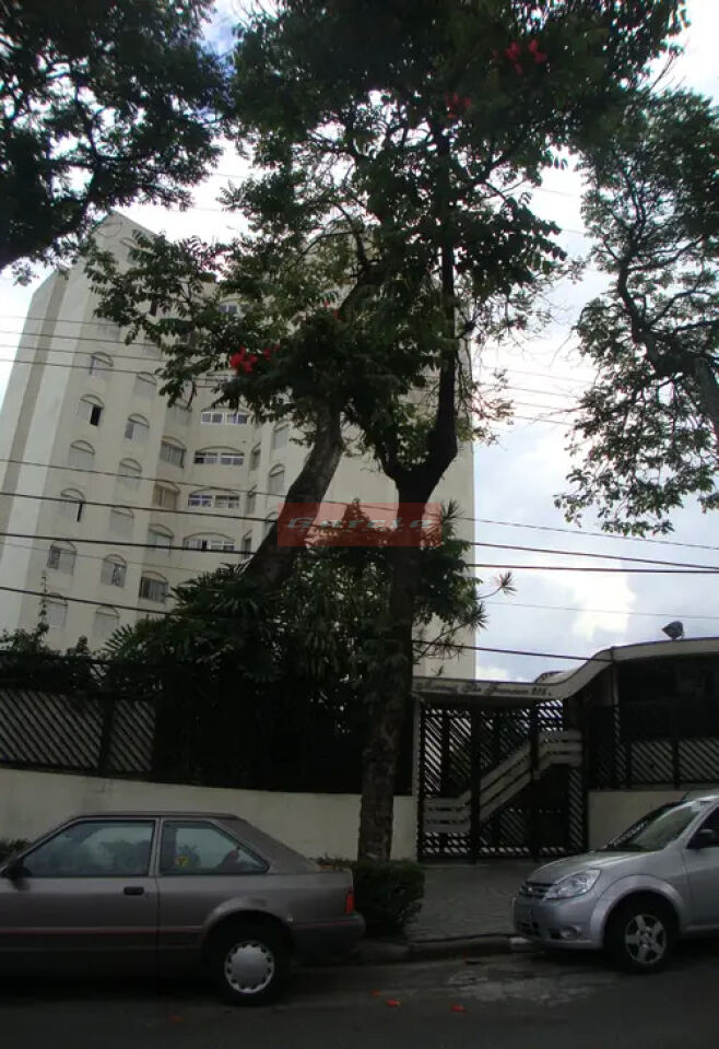 Apartamento para Venda - VILA SÃO FRANCISCO