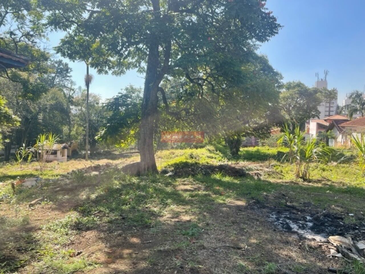 Terreno para Venda - CHÁCARA MONTE ALEGRE